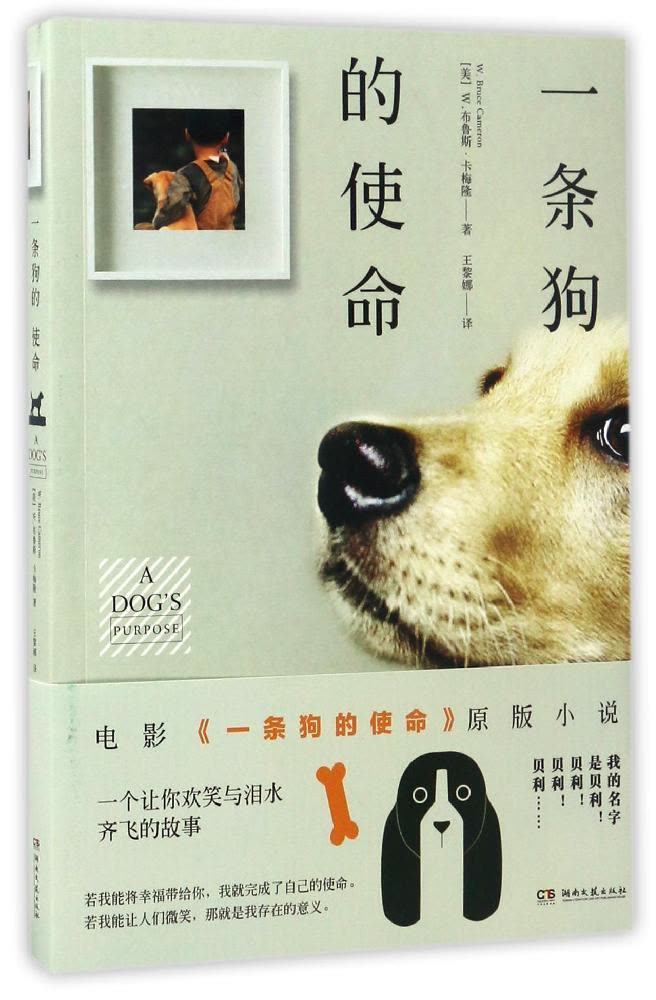 【开云电竞app下载安装】沈南鹏与程维谈ai创新,他们都说了什么?(图1) 开云电竞ag真人官网