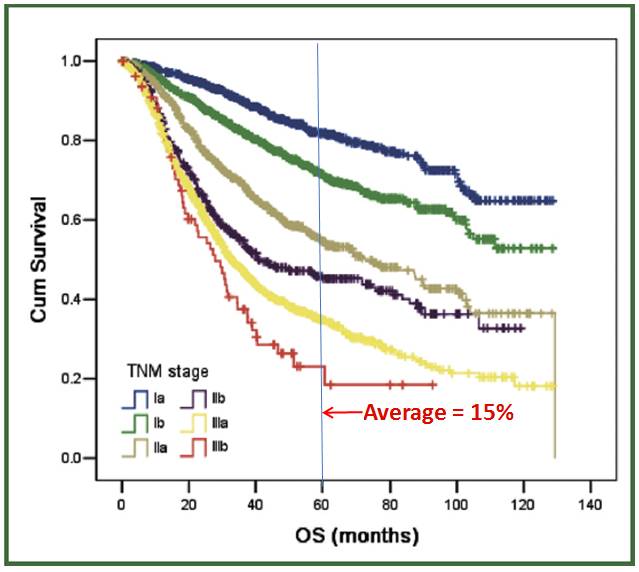 “开云电竞ag真人官网”多特2将因伤无缘战拜仁 胡梅尔斯:尽量踢保守些(图3) 开云电竞